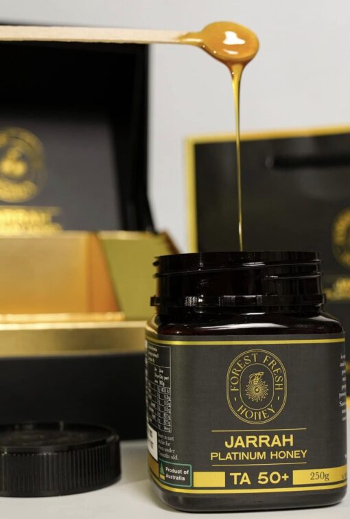 474455505_122146107902364720_7793386264522646592_n-510x756